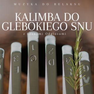 Kalimba do glebokiego snu z lesnymi odglosami