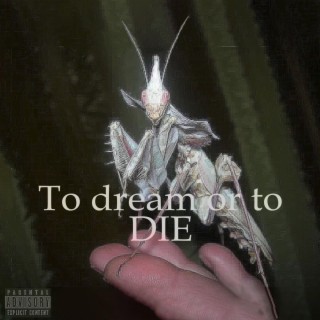 To dream or to DIE