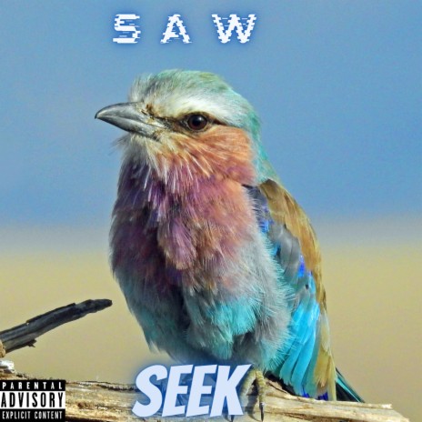 Seek