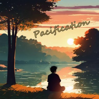 Pacification