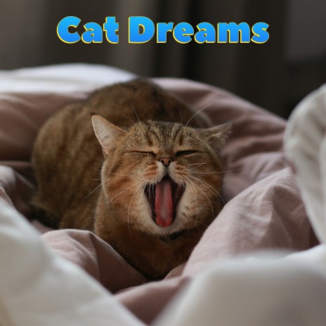 Open Up Your Heart ft. Cat Music & Calm Music for Cats | Boomplay Music