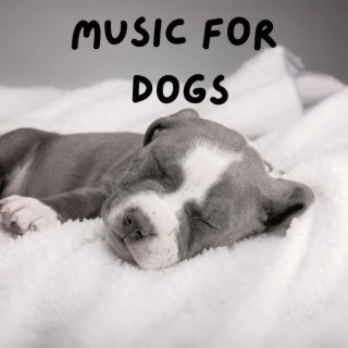 Music For Dogs