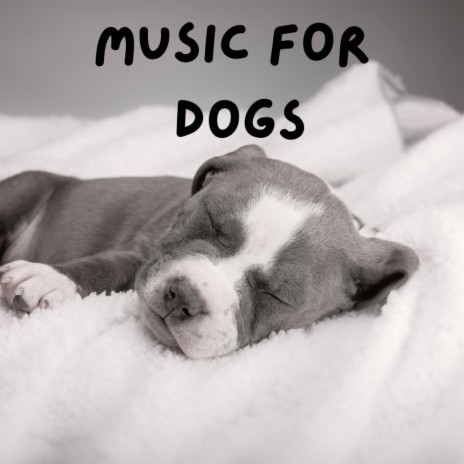Ambient Dog Music ft. Music For Dogs, Relaxing Puppy Music & Calm Pets Music Academy