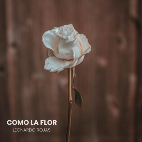 Como La Flor | Boomplay Music