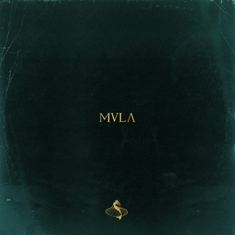 MVLA | Boomplay Music