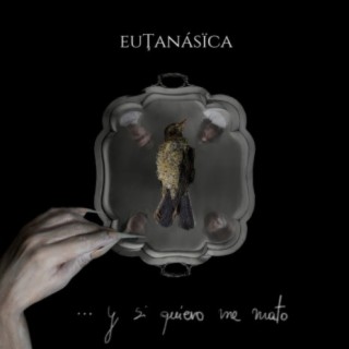 Eutanásïca