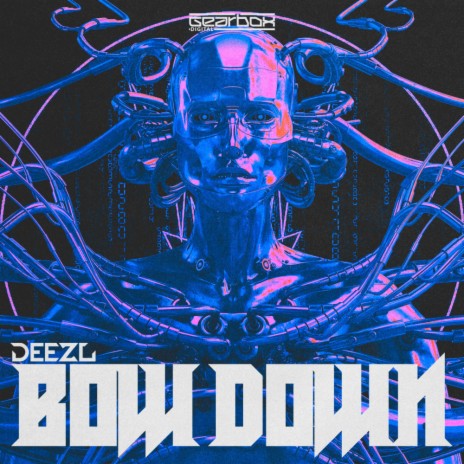 BOW DOWN | Boomplay Music