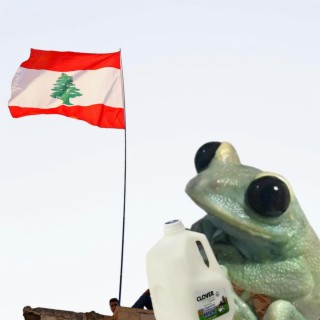 Milked A Frog In Lebanon