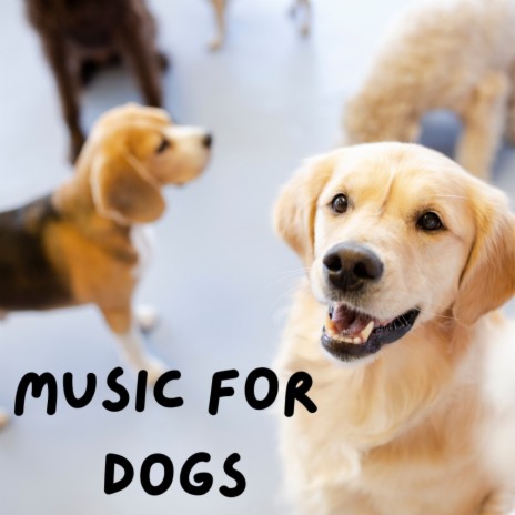 Music for Pets ft. Calm Pets Music Academy, Music For Dogs Peace & Music For Dogs | Boomplay Music