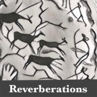 Reverberations