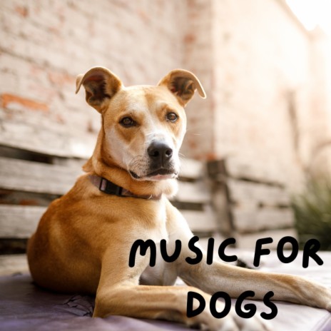 Dog Chillout ft. Relaxing Puppy Music, Calm Pets Music Academy & Music For Dogs Peace