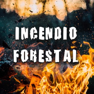Incendio forestal lyrics | Boomplay Music