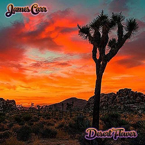 Desert Flower | Boomplay Music