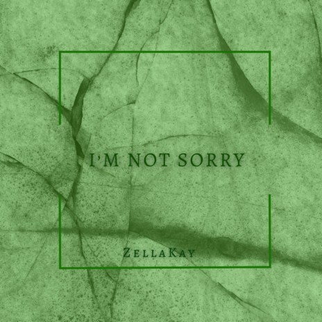 I'm Not Sorry | Boomplay Music