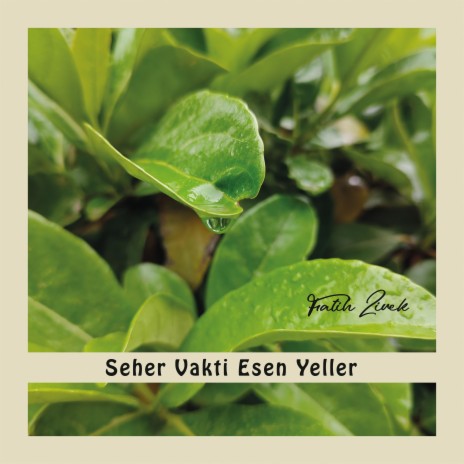 Seher Vakti | Boomplay Music