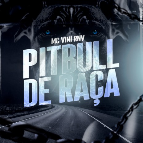 Pitbull de Raça ft. Dj Gui de Novo | Boomplay Music