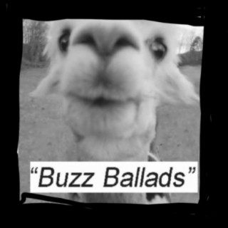 Buzz Ballads