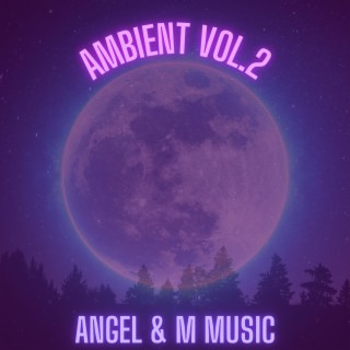 AMBIENT, Vol. 2