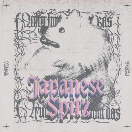 Japanese Spitz | Boomplay Music