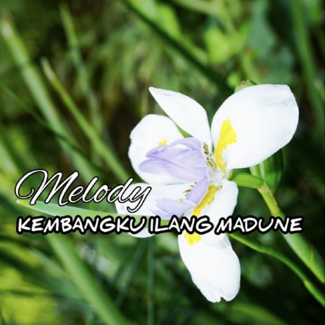 Melody Kembangku Ilang Madune | Boomplay Music