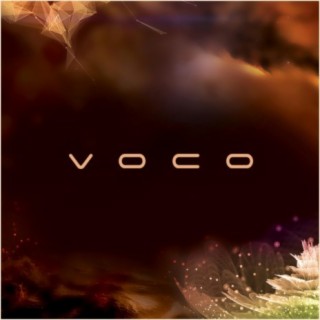 Voco