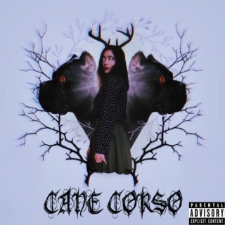 CANE CORSO lyrics | Boomplay Music