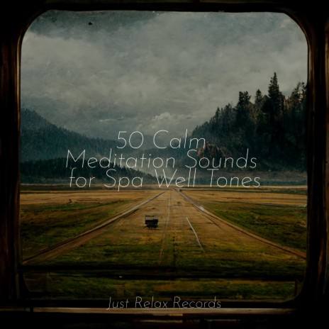 Mystery's Resounding Wave ft. Musica Relajante & Chinese Relaxation and Meditation | Boomplay Music