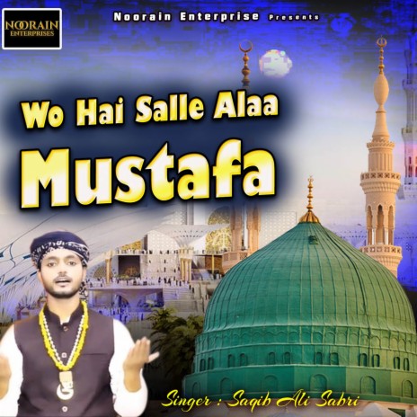 Wo Hai Salle Alaa Mustafa | Boomplay Music