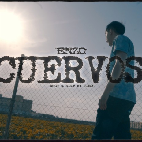 CUERVOS