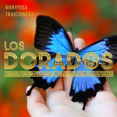 Mariposa Traicionera (En Vivo) | Boomplay Music