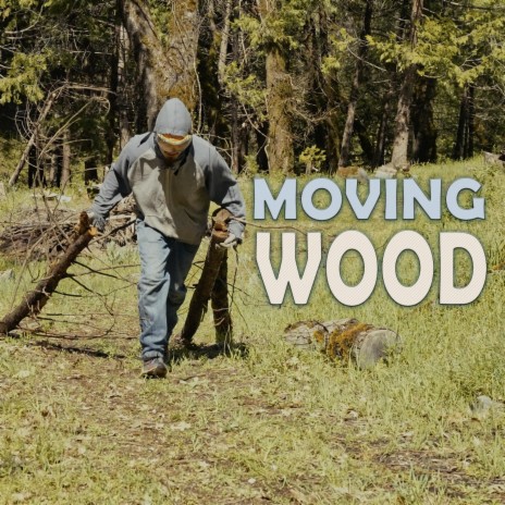 Moving Wood | Boomplay Music