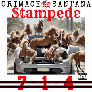 Stampede