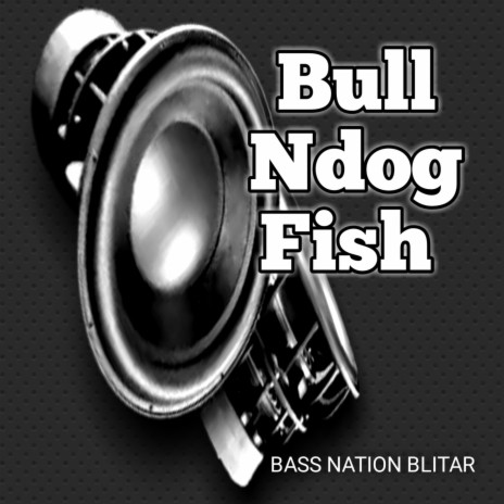 Bull Ndog Fish | Boomplay Music