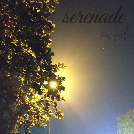 Serenade | Boomplay Music