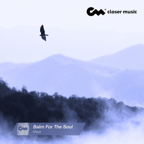 Balm for the Soul (Instrumental) | Boomplay Music