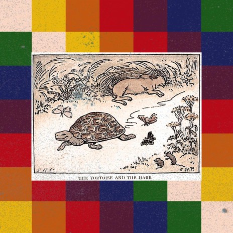Tortoise & The Hare | Boomplay Music