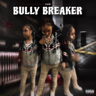 Bully breaker