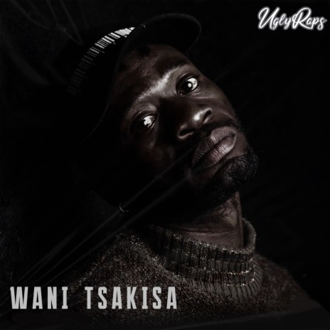 Wani Tsakisa ft. Lilzo | Boomplay Music