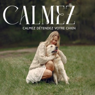 Calmez Détendez Votre Chien: Musique de sommeil pour chiots berceuse