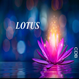 Lotus