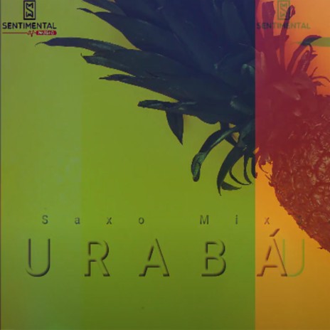 saxo mix _ uraba reggae music 2023