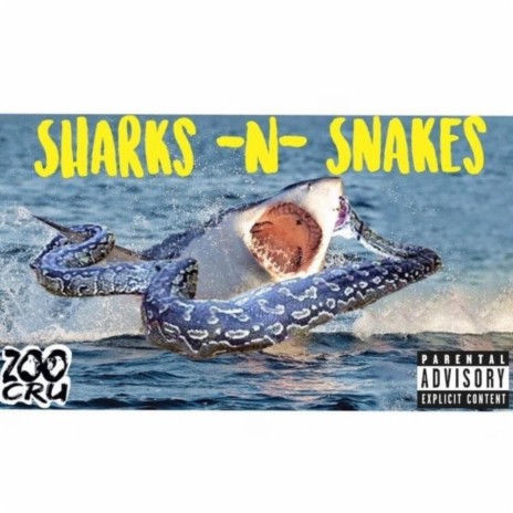 Sharks-N-Snakes