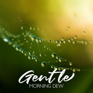 Gentle Morning Dew