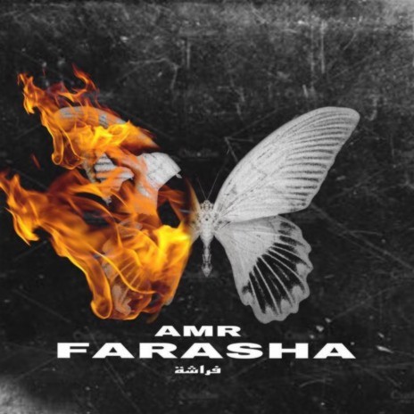 Farasha