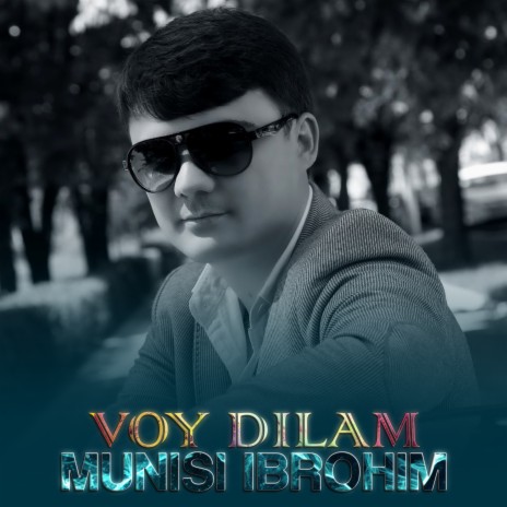 Voy dilam | Boomplay Music