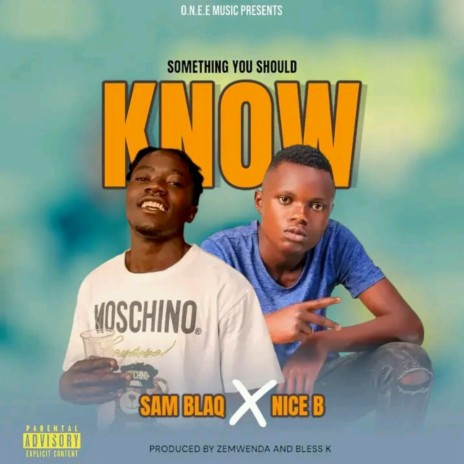 Something You Should Know ft. Sam B | Boomplay Music