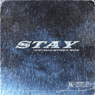 Stay (Album Version)