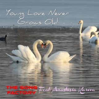 Young Love Never Grows Old lyrics | Boomplay Music