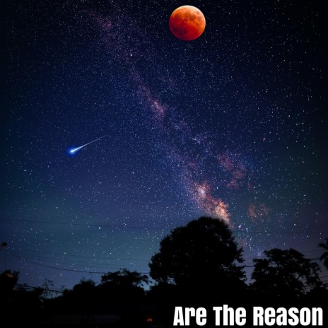 Are The Reason | Boomplay Music