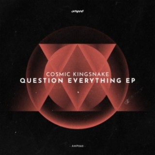 Question Everything EP